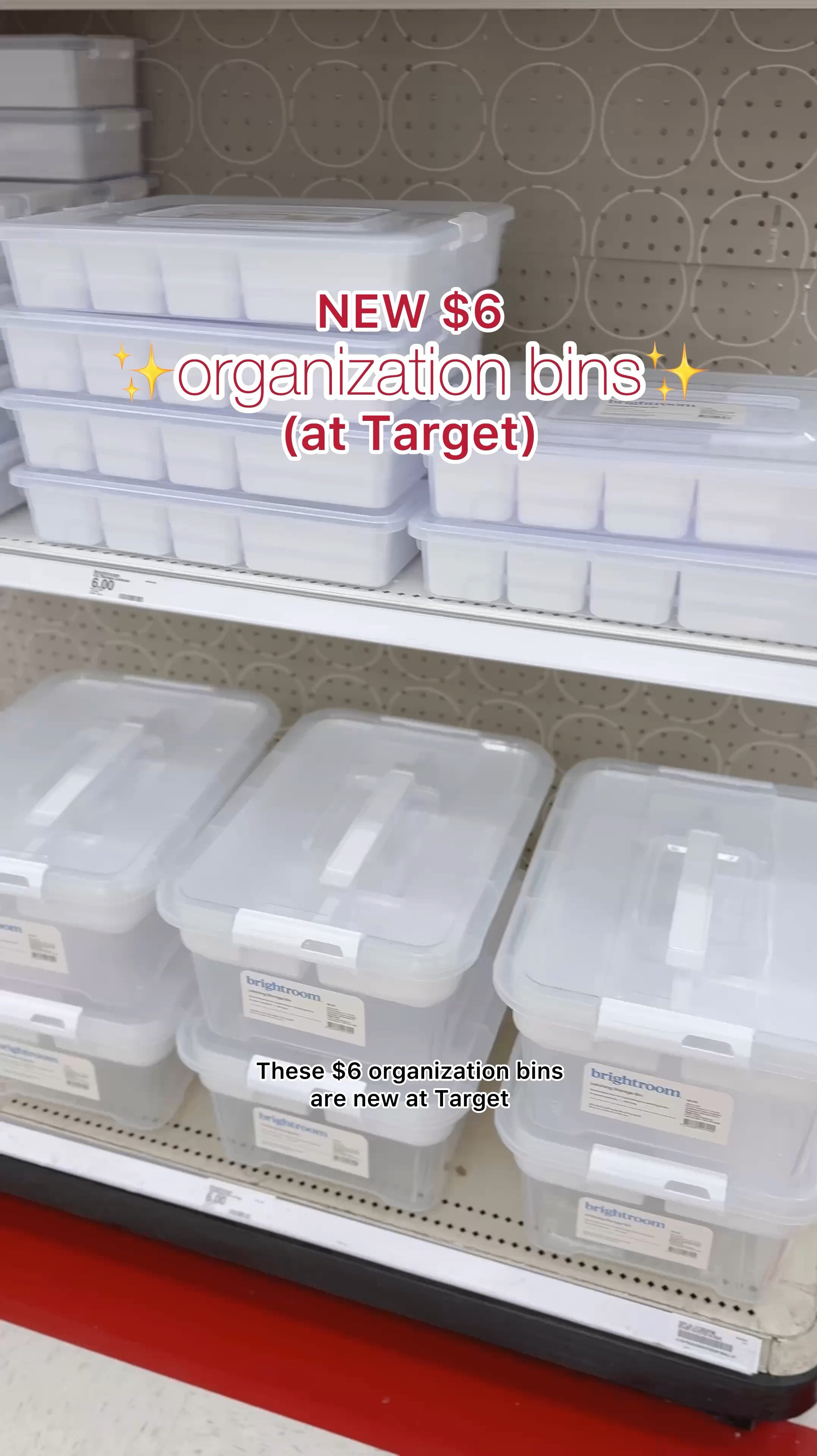 NEW $6 organization bins at Target!🎯🎯

#LTKHome #LTKKids #LTKFamily