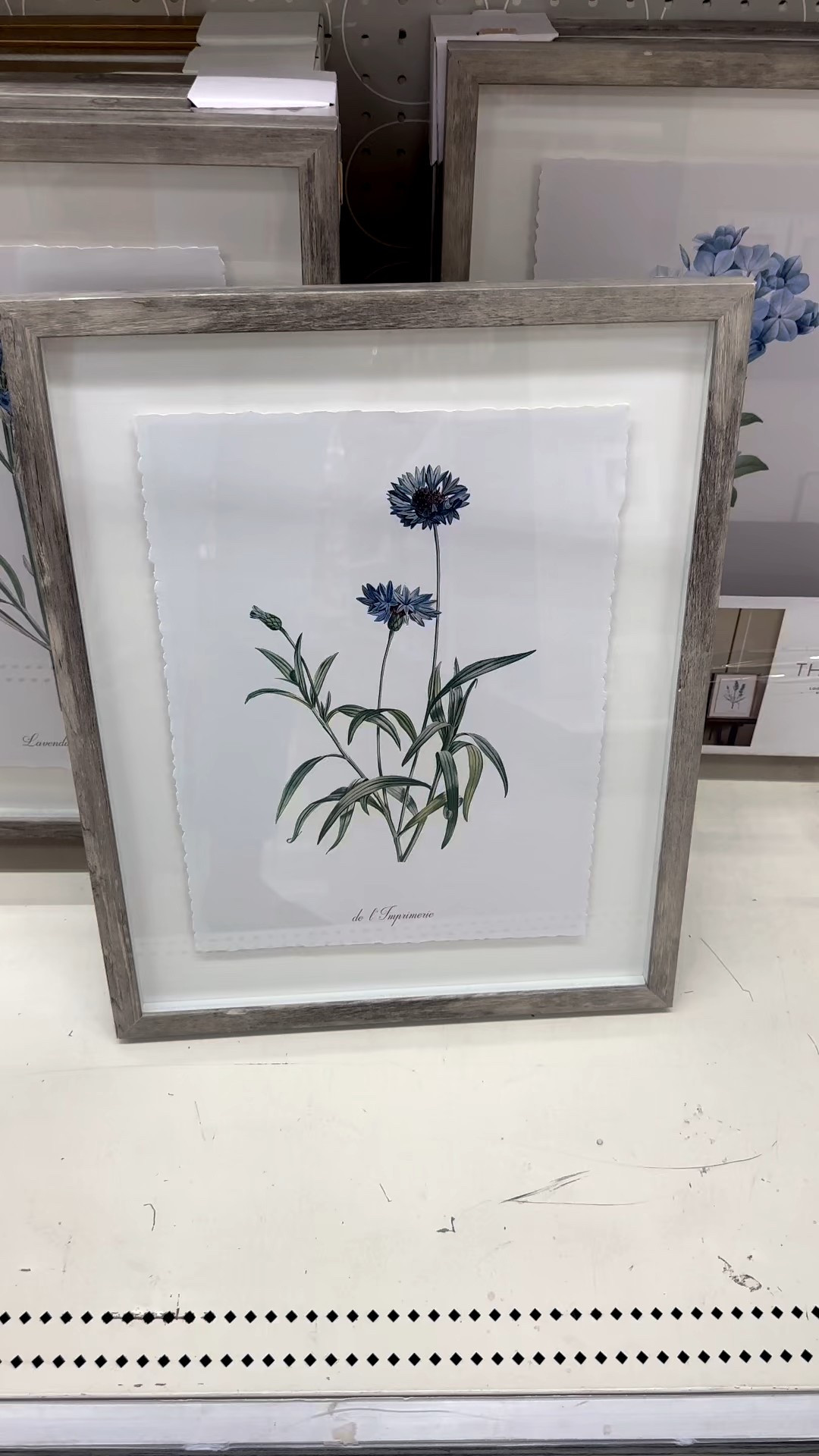 I found the cutest blue botanical floral artwork.

It comes as a set of three (16” x 20”) and is less than $100.

#LTKHome #LTKFindsUnder100