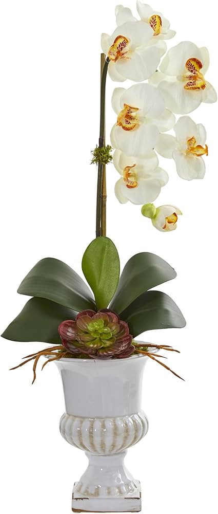 Nearly Natural Phalaenopsis Orchid and Succulent Artificial Urn Silk Arrangements, Cream | Amazon (US)