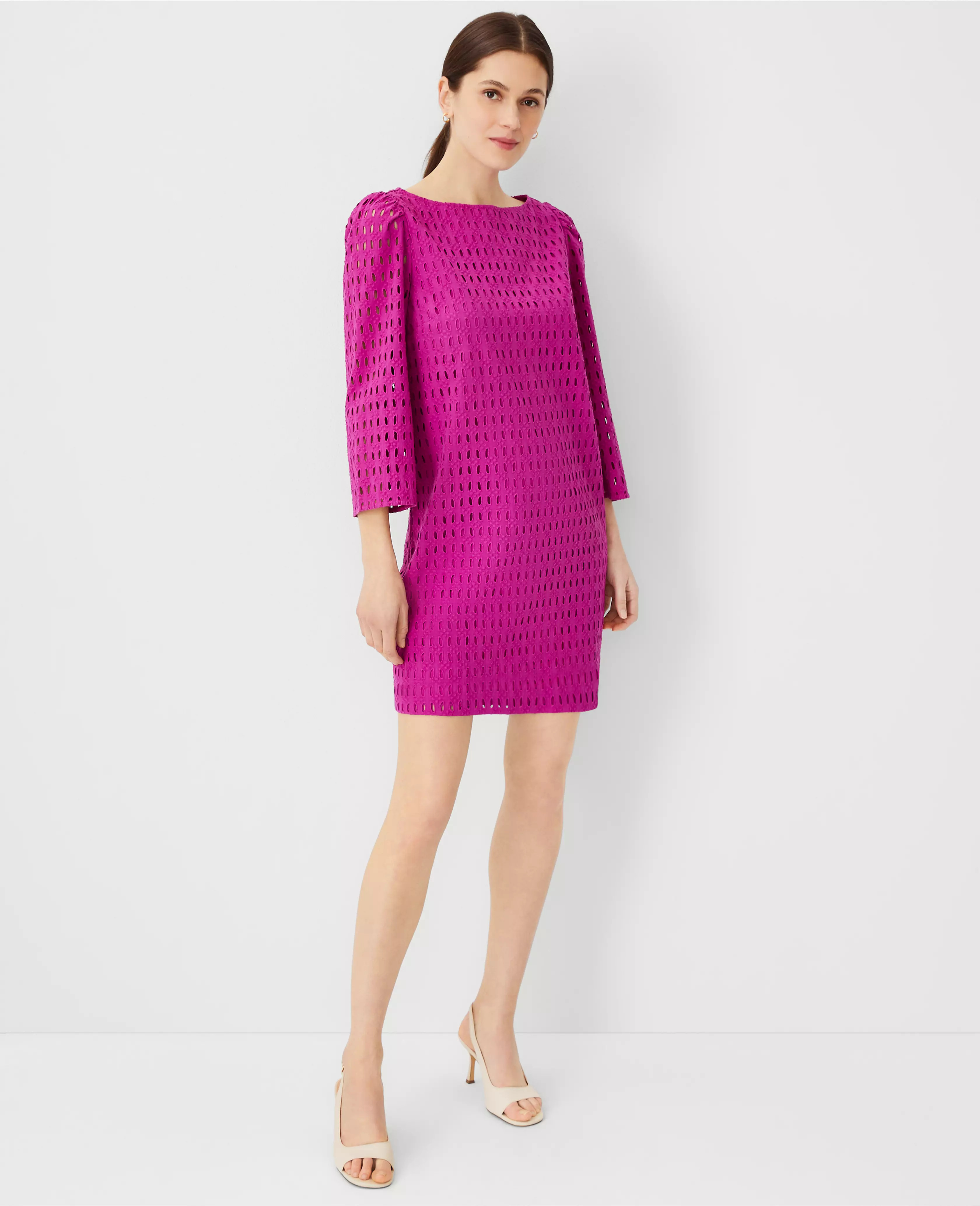Petite Eyelet Boatneck Shift Dress | Ann Taylor (US)