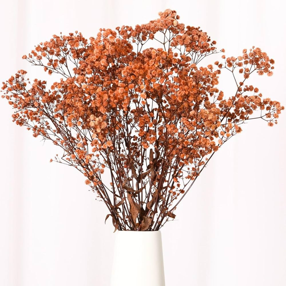Babys Breath Dried Flowers Bouquet-17'' 1800+ Ivory Dry Flowers, Natural Gypsophila Branches for ... | Amazon (US)