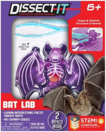 Dissect-It Simulated Synthetic Lab Dissection STEM Toy, Kids' Home Learning Science Project, Grea... | Amazon (US)