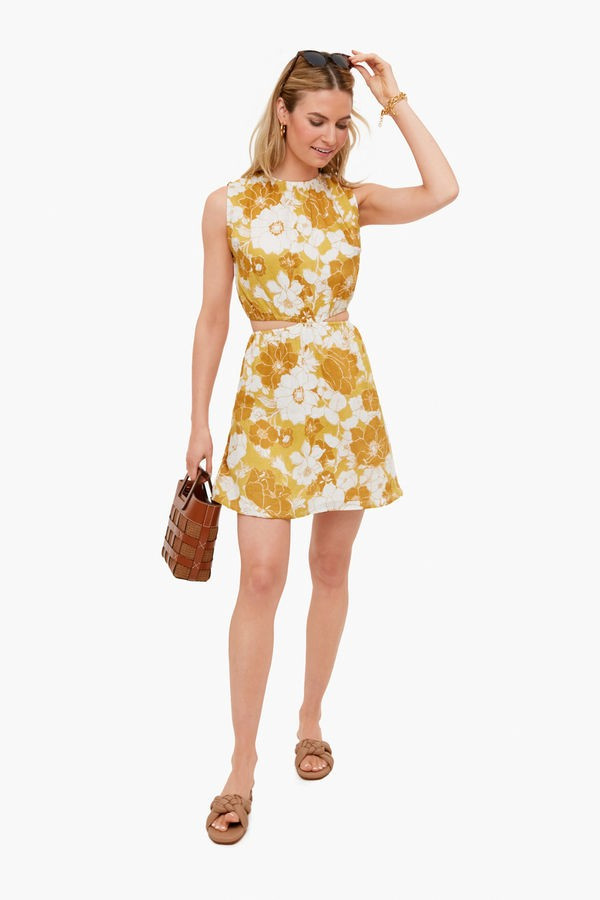 Potenza Floral La Pineta Mini Dress | Tuckernuck (US)
