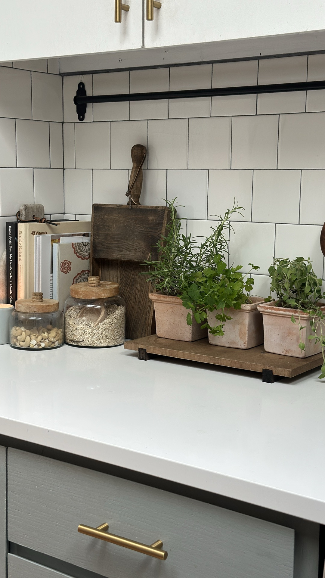 Mini herb garden

#LTKstorytime #LTKHome #LTKTravel