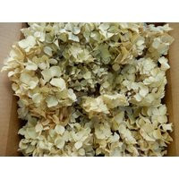 Dried Hydrangea Antique Cream, Pale Green Flowers, 40 Pieces, Basket Or Tray, Wedding Decor, Diy Homemade Craft, Primitive Home Decor | Etsy (US)