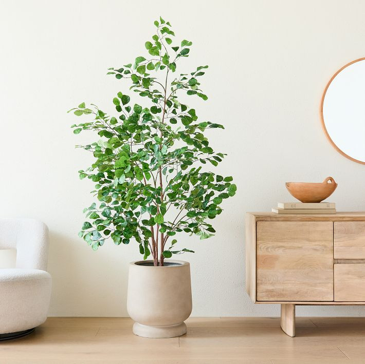 Faux Potted Ficus Tree & Helena Planter Bundle | West Elm (US)