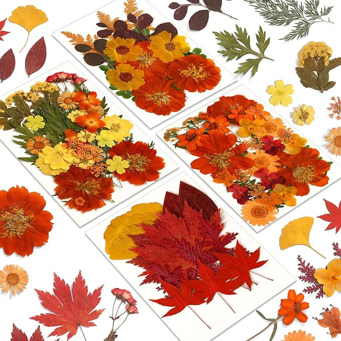 Augshy Orange Dried Pressed Flowers, 100 Pcs Dried Fall Flowers Leaves for Resin Molds Real Press... | Amazon (US)