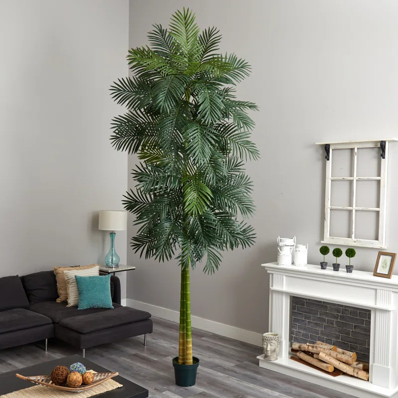 Okay but why is Black Friday in July hitting THIS hard right now 😭✨ like if you’ve been thinking about adding a cute faux tree moment to your space… this is your sign 🌿

Joss & Main and Birch Lane are literally dropping the prettiest ultra-lush faux trees on major sale and they look SO real it’s kinda scary lol. Perfect for that clean, modern, cozy vibe without worrying about watering or keeping anything alive 🙃 just place it in a corner and suddenly your whole room feels expensive.

Obsessed with those tall olive trees + soft greenery for that effortless aesthetic… it’s giving Pinterest home but make it easy 💅🏼 and the fact they’re discounted right now?? yeah… run don’t walk.

#LTKHome #LTKSale #LTKFinds #BlackFridayInJuly #JossAndMain #BirchLane #FauxTree #FauxPlants #ArtificialPlants #ModernHome #NeutralAesthetic #MinimalHome #HomeDecorFinds #LivingRoomInspo #EntrywayDecor #CozyVibes #HomeGlowUp #DecorOnABudget #LuxuryForLess #PlantDecor #OliveTreeVibes #FiddleLeafFig #AestheticHome #HomeStyling #InteriorInspo #ViralFinds #SaleAlert #HugeDeals #DecorSteals #TrendingHome #LTKHomeInspo 

 #LTKSeasonal #LTKHome #LTKSaleAlert