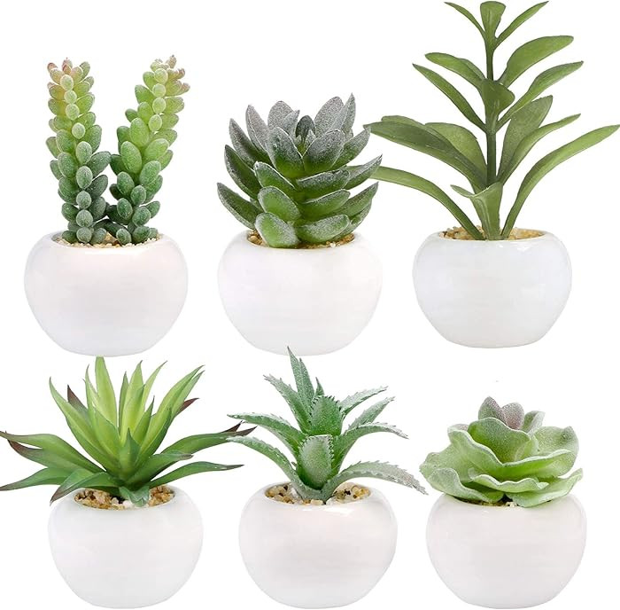 GREENTIME Set of 6 Succulents Plants Artificial in Mini White Ceramic Pots Small Fake Succulents ... | Amazon (US)