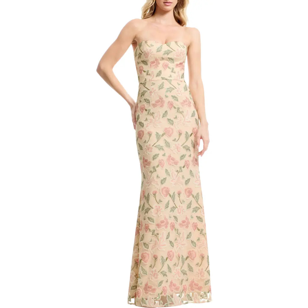 Dress the Population Sheridan Floral Appliqué Strapless Column Dress in Blush Multi at Nordstrom, Size Large | Nordstrom