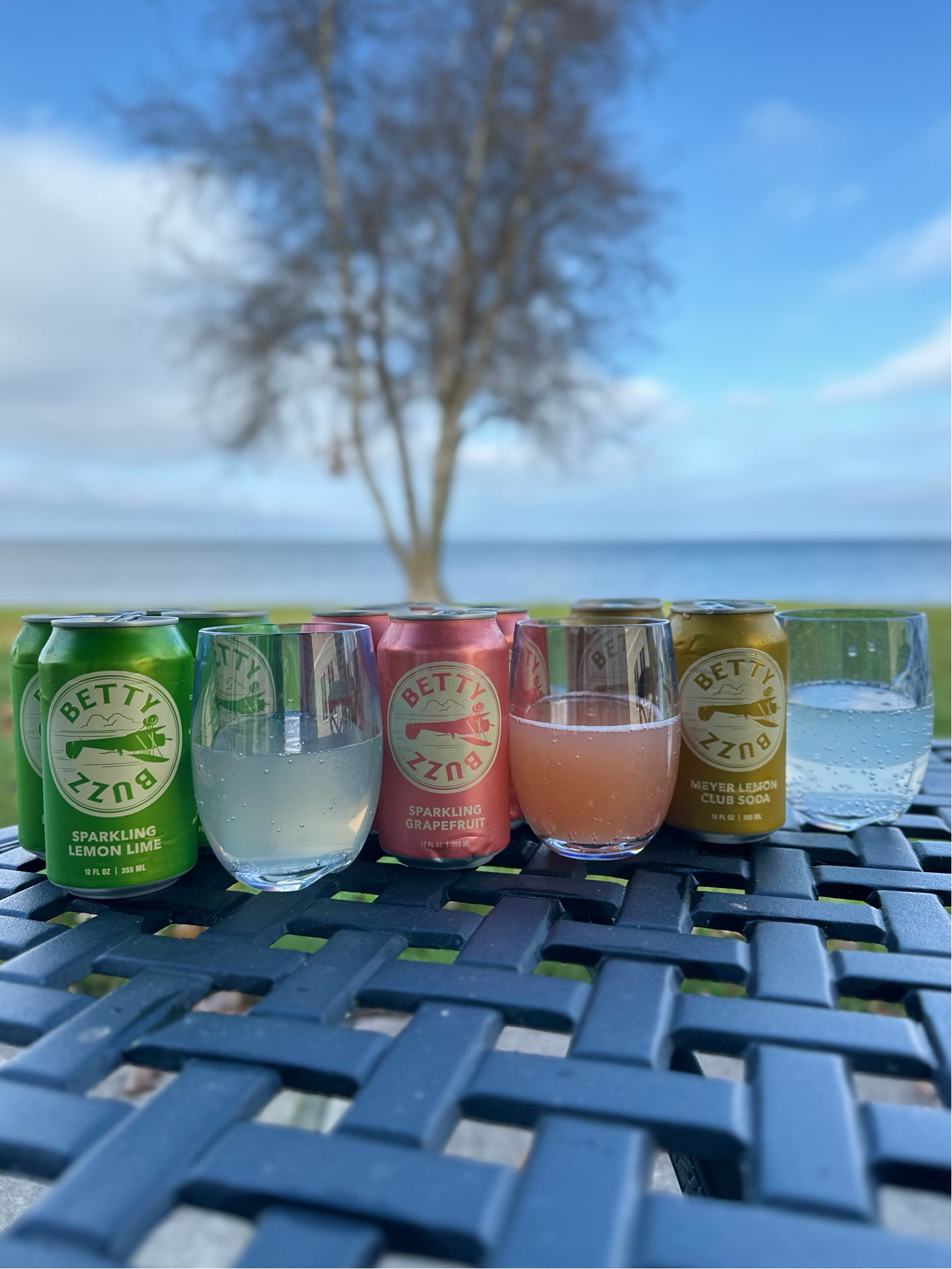 Nothing better than getting gifted mixers right before a trip to the lake!

#LTKFindsUnder50 #LTKParties #LTKHoliday