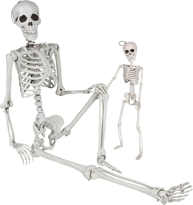 Posable Life Size Human Skeletons, Set of 2 - Adult & Child - Realistic Halloween Prop Decoration... | Amazon (US)