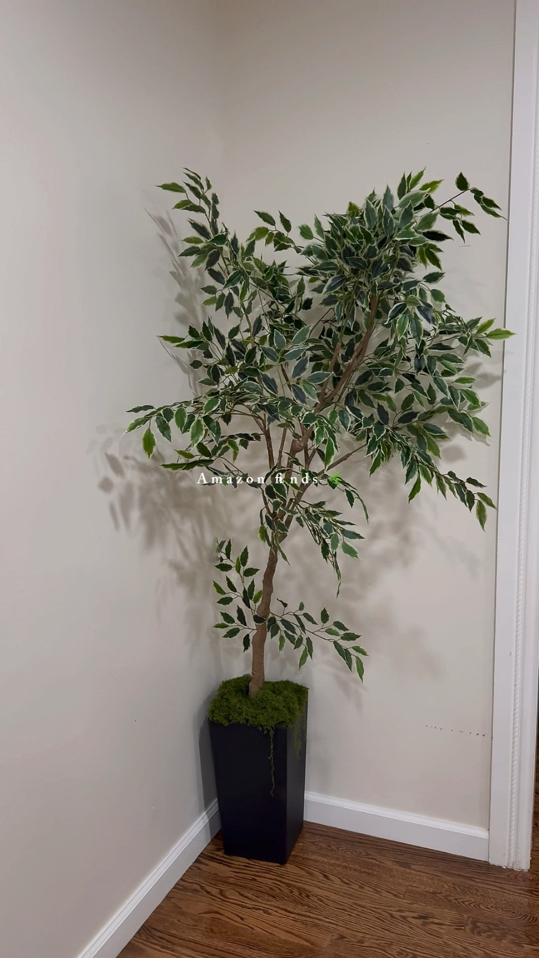 🌿 6ft artificial tree that looks so good! Comes with moss + pot and super easy to assemble 🙌 Perfect way to add greenery without the upkeep.

#LTKU #LTKHome