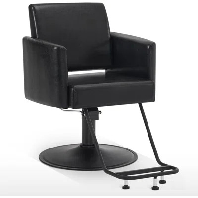 Inbox Zero Modern Salon Chair, All Black Barber Styling Chair for Hair Stylist | Wayfair Professional