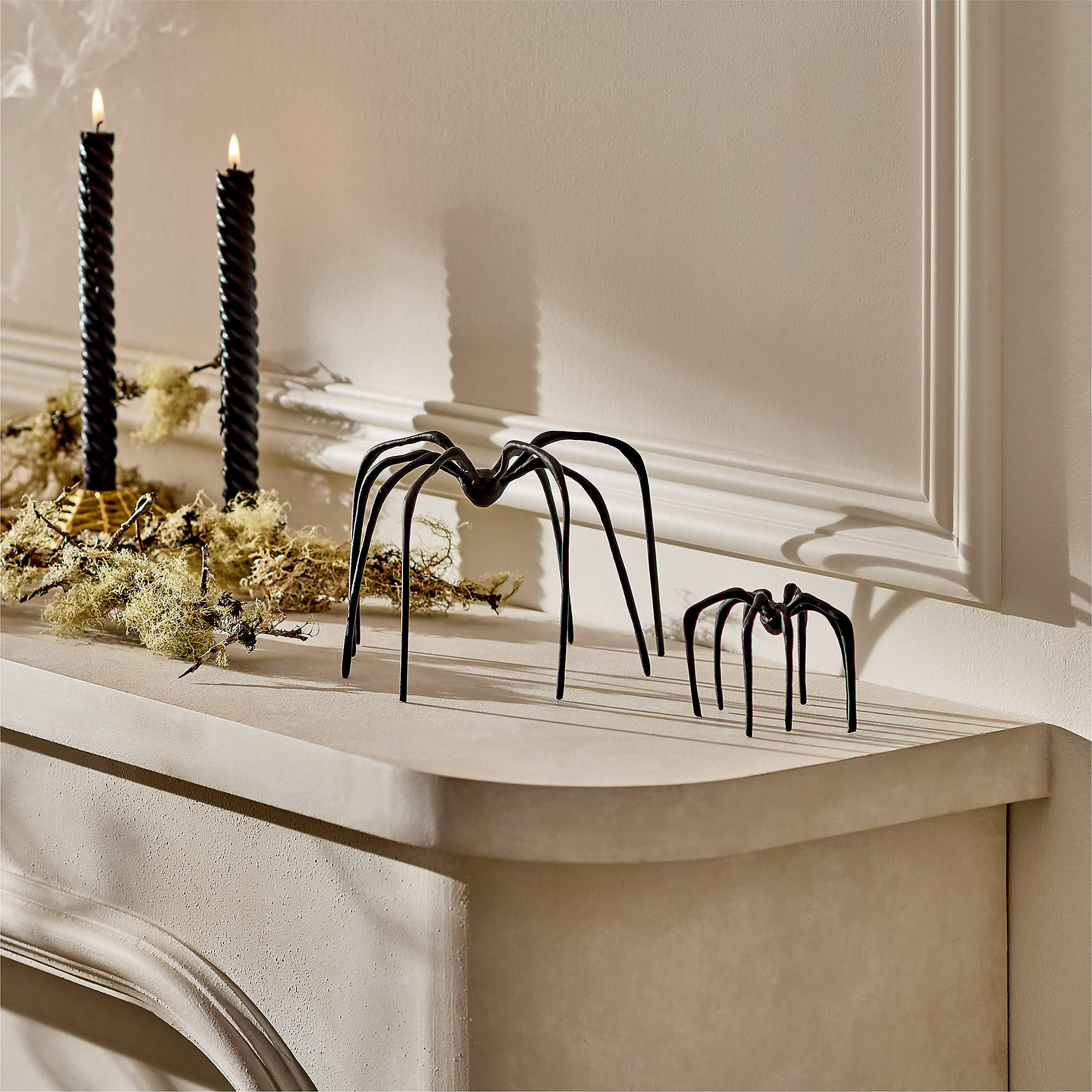 Huntsman Black Cast Aluminum Halloween Decorative Spider Set of 2 | CB2 | CB2