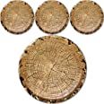 Havercamp Cut Timber 7" Party Plates (24 plates)! 24 Round Dessert Plates from the Cut Timber Par... | Amazon (US)