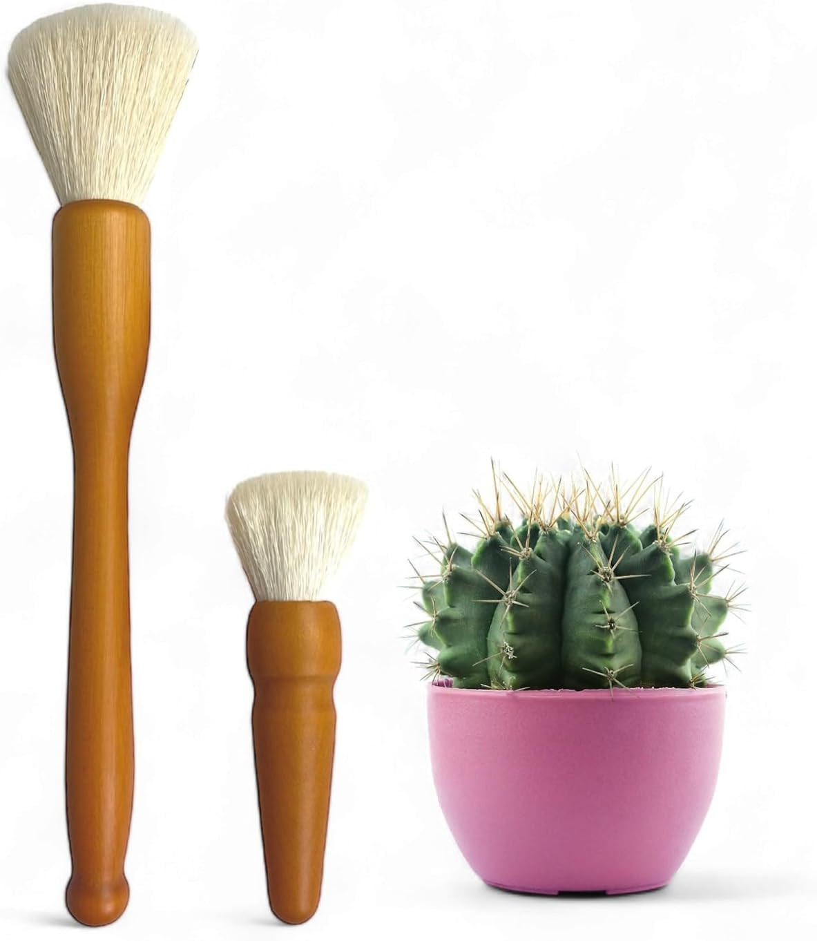Southside Plant Cactus & Succulent Plants Cleaning Brushes - Wooden Handles w/Soft Goat Hair Bris... | Amazon (US)