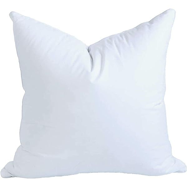 Pillowflex Synthetic Down Pillow Insert for Sham Aka Faux / Alternative (22 Inch by 22 Inch) | Amazon (US)