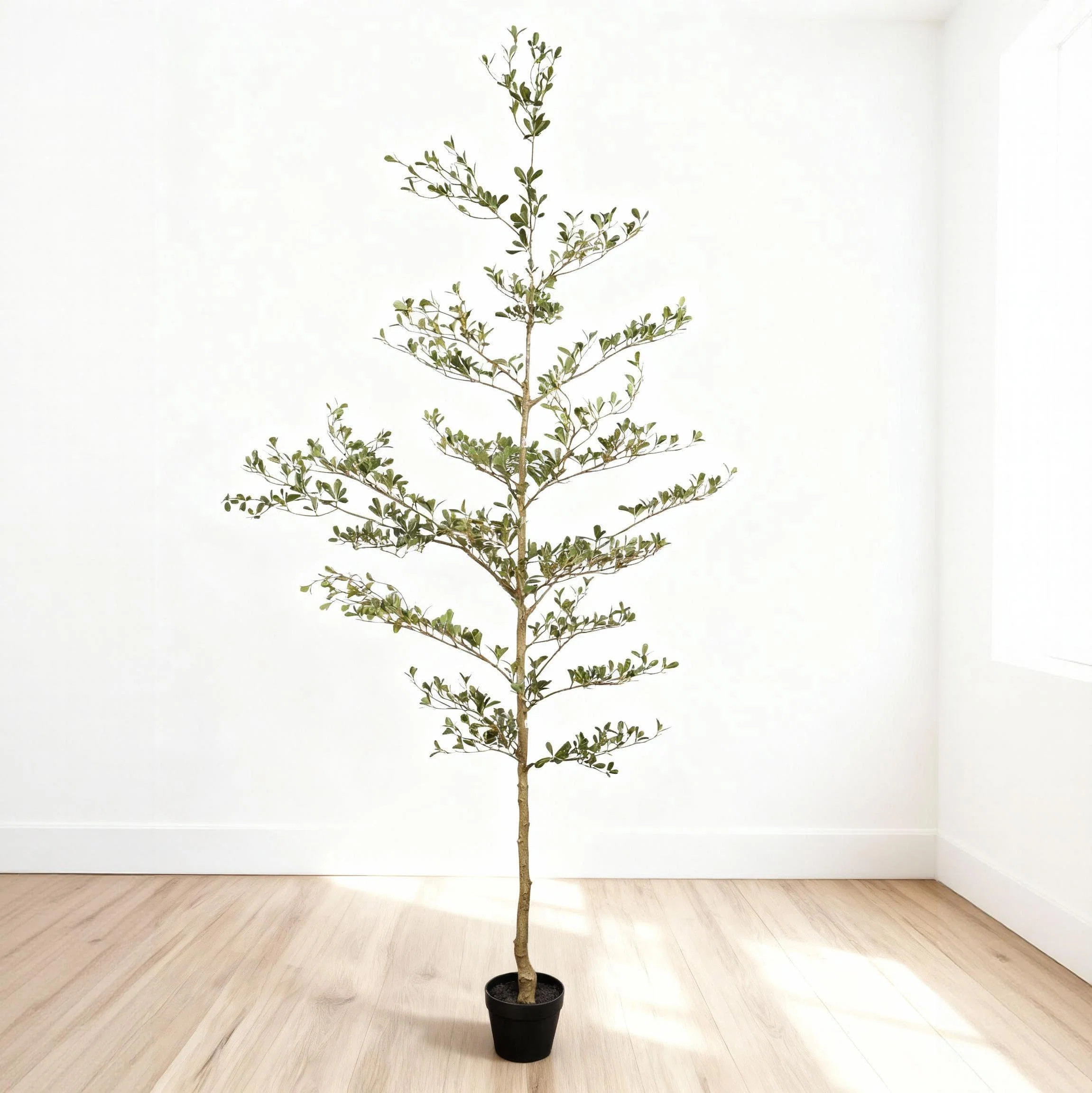 Chatwin 7FT Artificial Black Olive Tree for Home & Office Decor | Wayfair North America