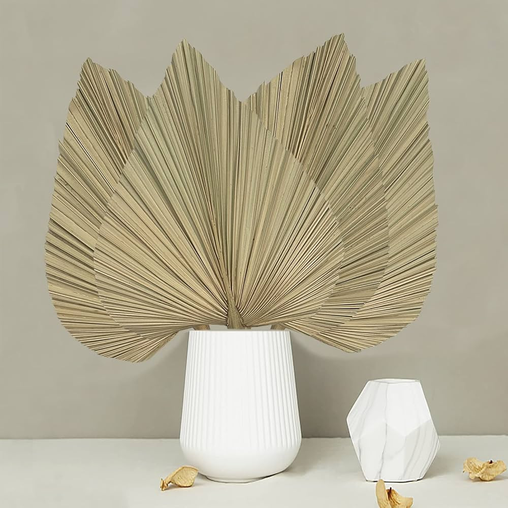4PCS Dried Palm Leaves Natural Dried Palm Fans, Large Palm Spear for Boho Wedding Décor, Long 18... | Amazon (US)