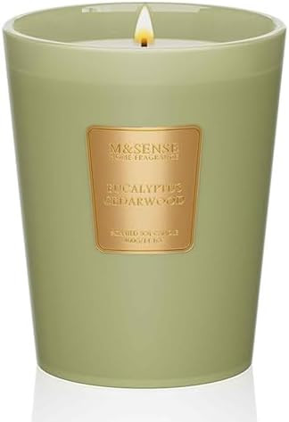 Visit the M&SENSE Store | Amazon (US)