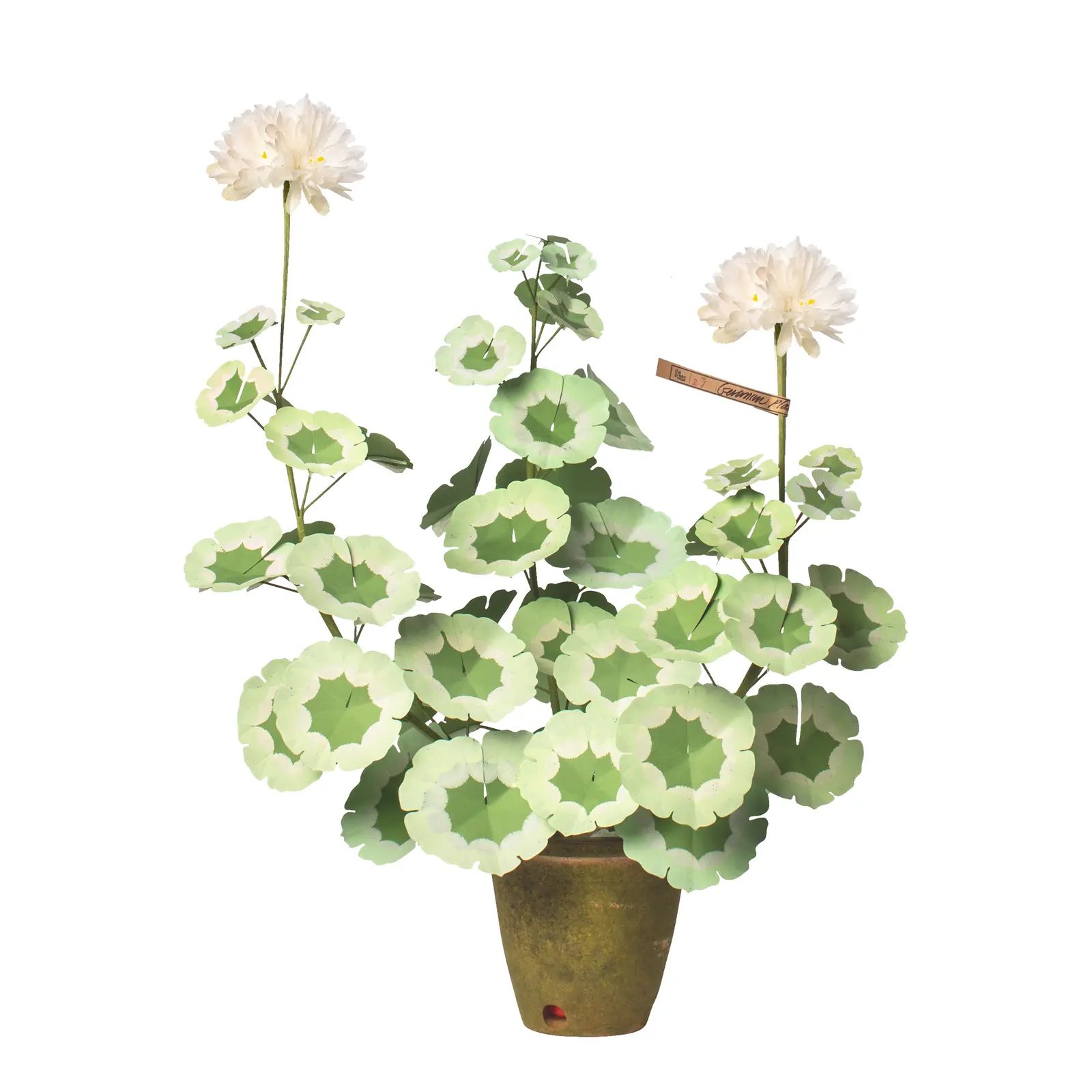 The Green Vase Geranium Plant in White | Chairish