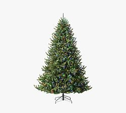 Tree Classics by Balsam Hill Lit Valley Fir Faux Christmas Tree | Pottery Barn (US)