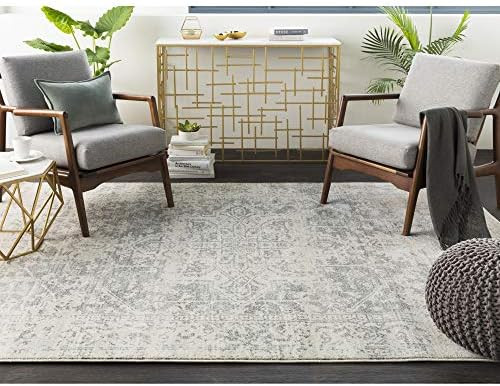Janine Gray and Beige Updated Traditional Area Rug 9'3" x 12'6 | Amazon (US)