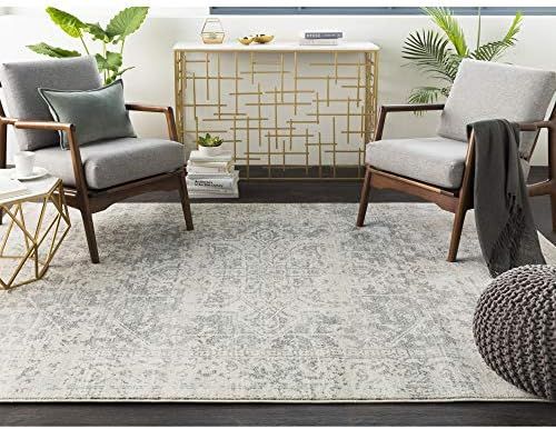 Janine Gray and Beige Updated Traditional Area Rug 5'3" x 7'3 | Amazon (US)