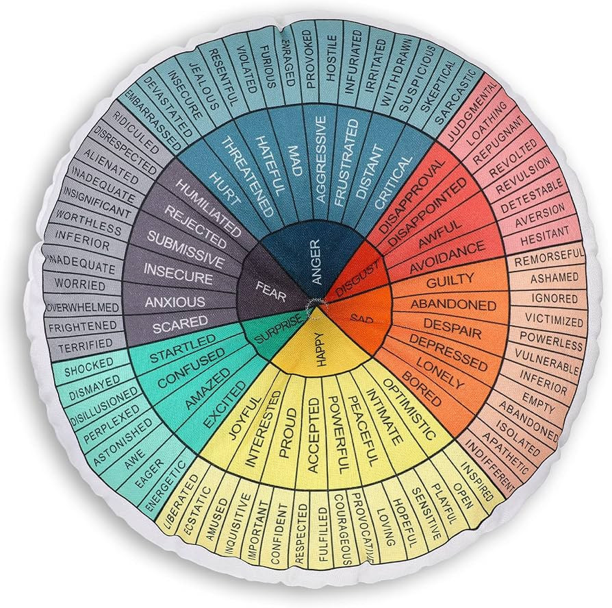 Wheel of Emotions Feelings Pillow Round Throw Circle Seating Floor Cushion Comfortable Round Pill... | Amazon (US)
