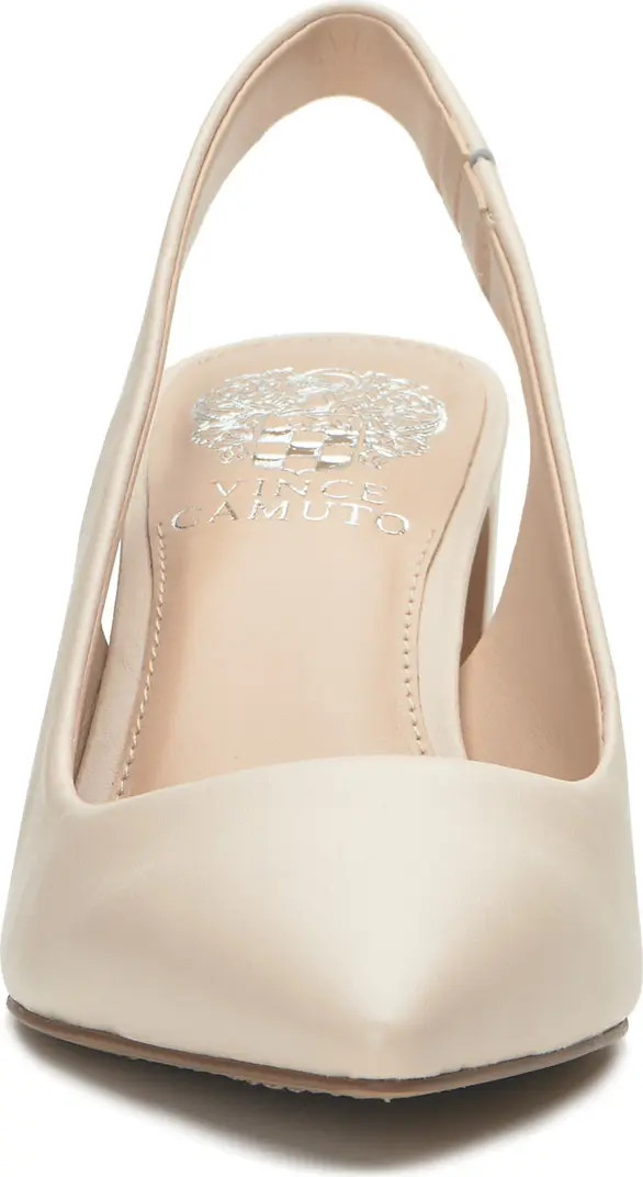 Hamden Slingback Pointed Toe Pump (Women) | Nordstrom