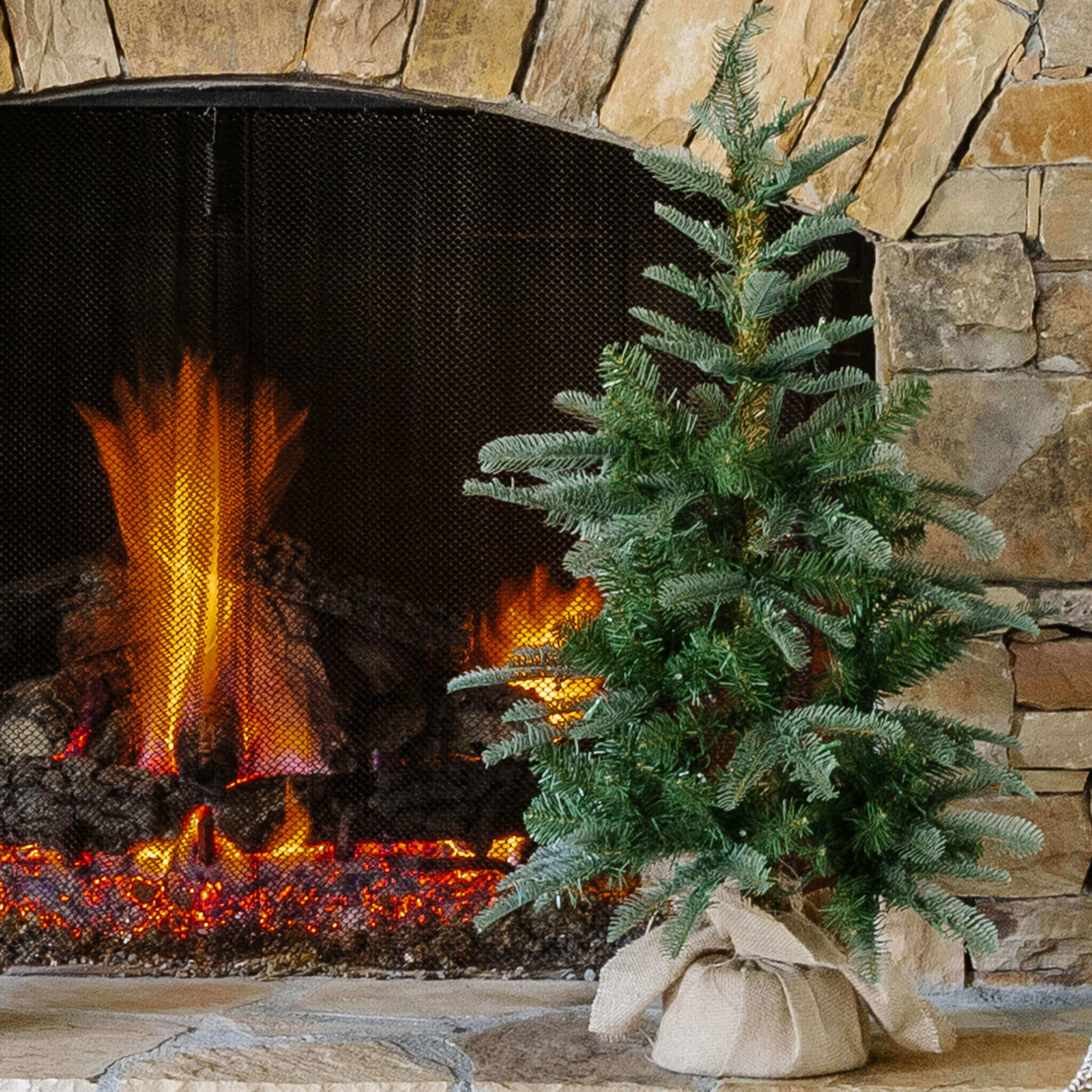 3' King Noble Fir Tabletop Tree with Warm White LED Lights | King of Christmas