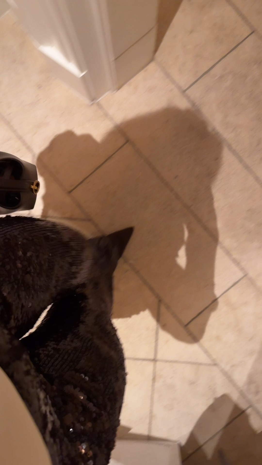 Festive & Fun ✨❄️