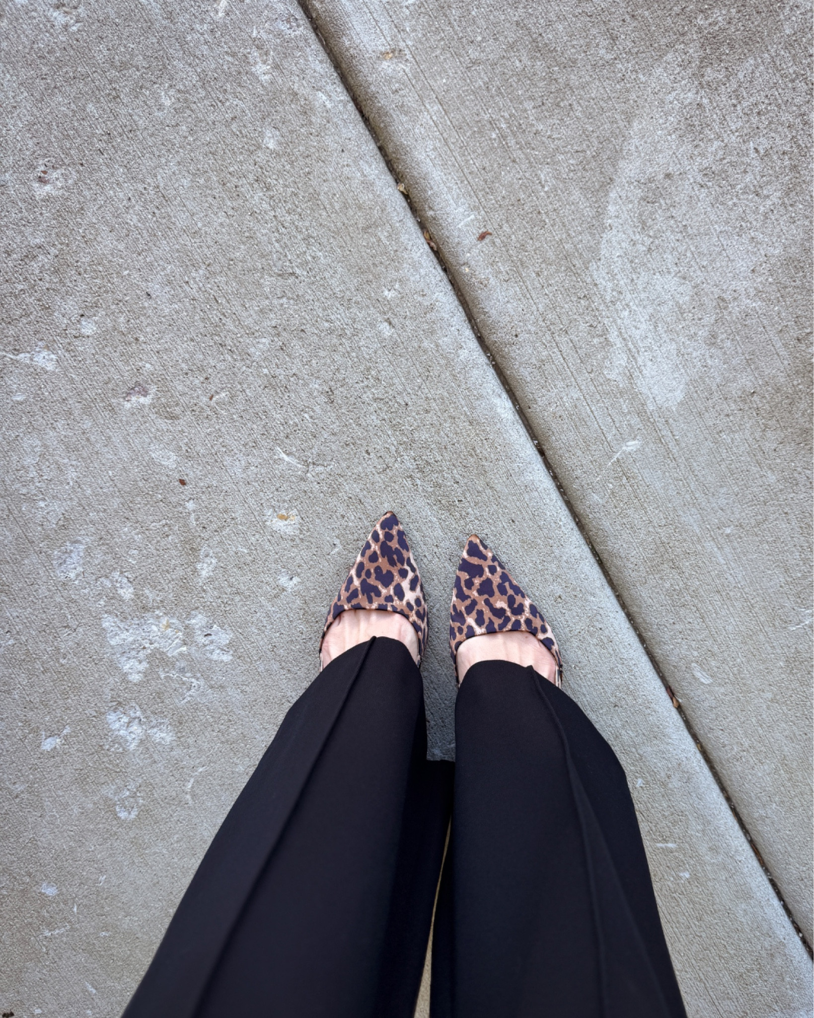 I absolutely love these leopard kitten heels! 

#LTKSaleAlert #LTKFindsUnder50 #LTKShoeCrush