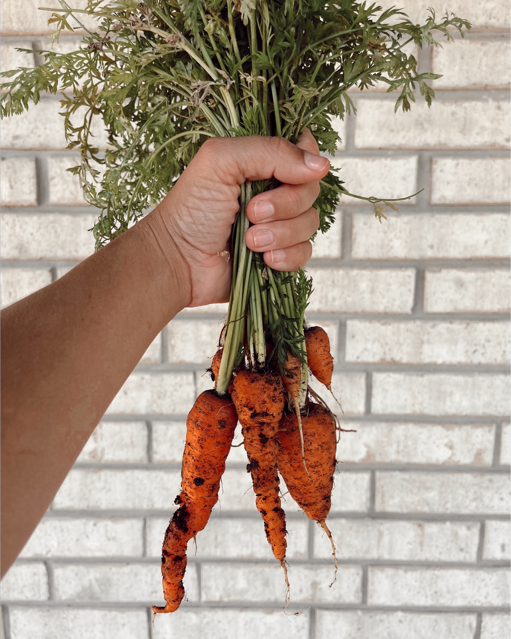 #LTKHome #LTKFamily #LTKActive