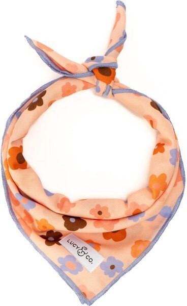 Lucy & Co. The Let's Groove Dog Bandana, Coral | Chewy.com