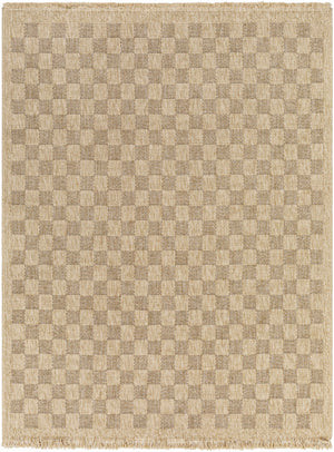 Jurek Beige Checkered Area Rug | Boutique Rugs