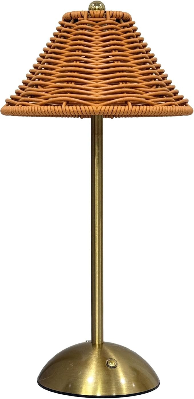 Boho Rattan Table Lamp,Wicker Night Light,LED Rechargeable Reading Lights,3 Color Touch Control D... | Amazon (US)