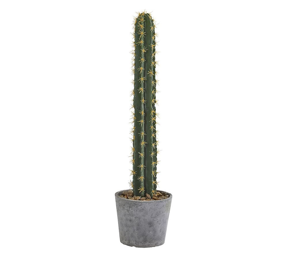 Faux Potted Cactus | Pottery Barn (US)