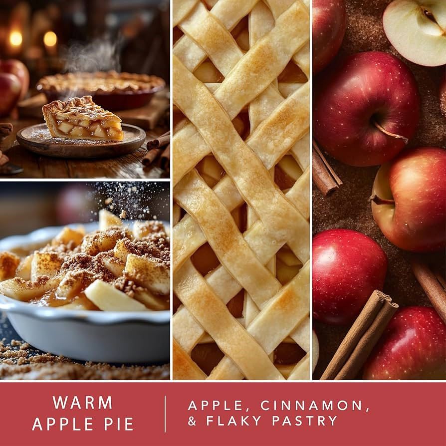 Scentsationals Fall Wax Melts - Harvest Home 4-Pack – Long Lasting Wax Cubes with Strong Scent ... | Amazon (US)