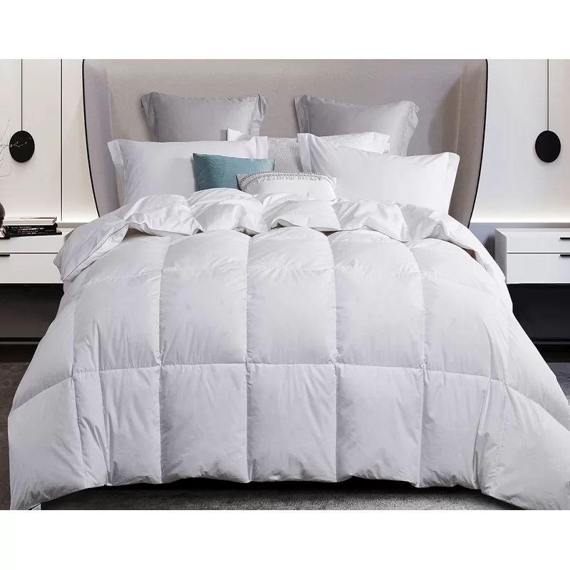 All Season Down & Feather Blend Comforter | Wayfair Professional