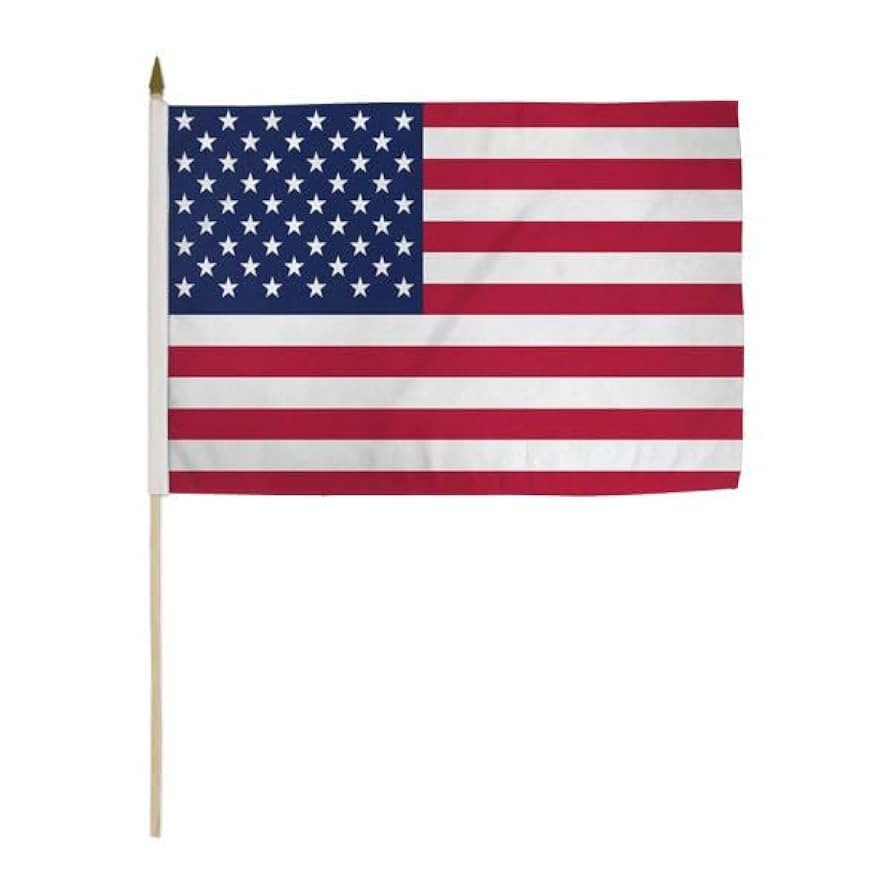 USA 12x18" Stick Flag - Hand Held USA Flag | Amazon (US)