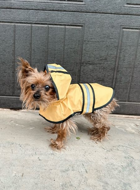 Dog rain coat
Amazonn

#LTKfindsunder50