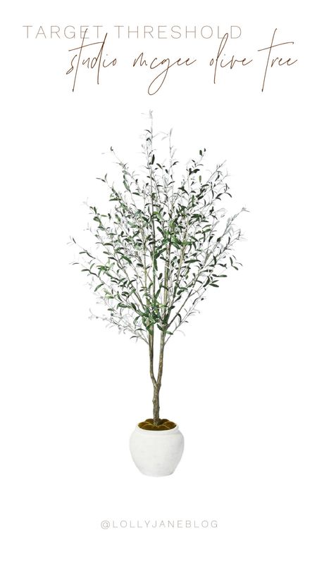 Target Threshold studio McGee olive tree! 🌳🫒 

Target has this threshold & Studio McGee fake olive tree! This fake tree is so stinkin cute for your home decor vibe! Make sure to snatch it up before it's gone! 

#LTKSeasonal #LTKStyleTip #LTKHome