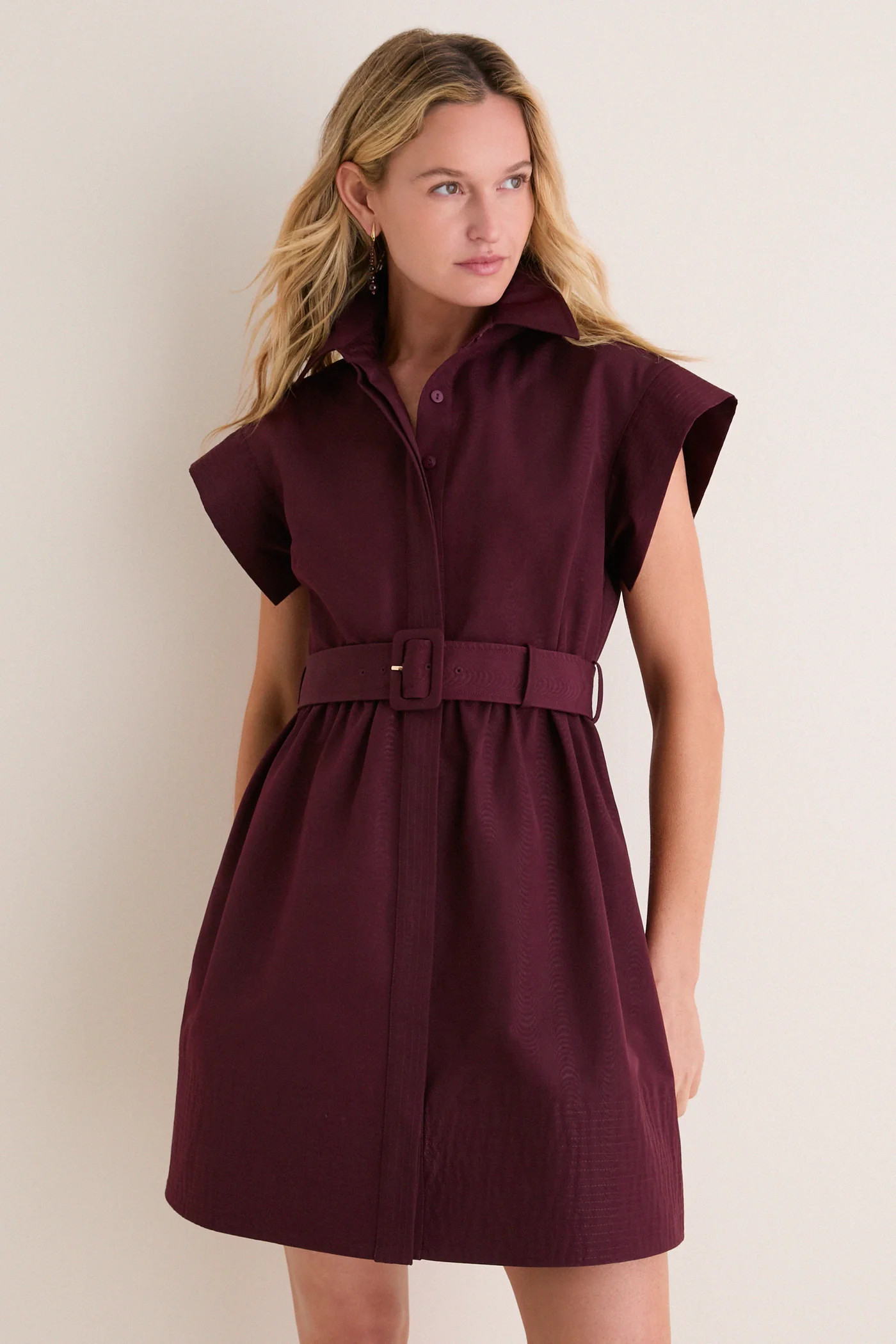 Winetasting Mini Chloe Dress | Tuckernuck (US)