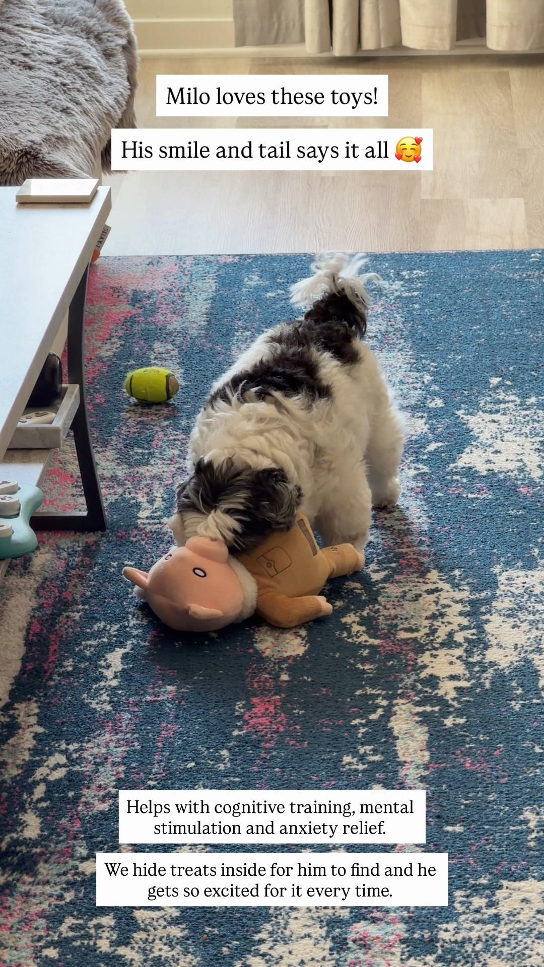 Milo loves these toys! Helps with cognitive training, mental stimulation and anxiety relief. We hide treats inside for him to find and he gets so excited for it every time. 

Dog toys, dog treats, pet toys, The Stylizt 


#LTKFindsUnder50 #LTKmomlife #LTKstorytime