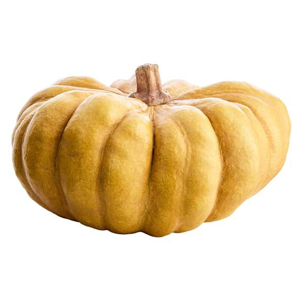 Yellow Pumpkin, 5.9" | At Home