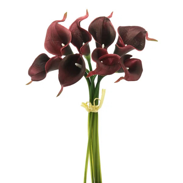 Calla Lily Stem Bundle | Wayfair North America