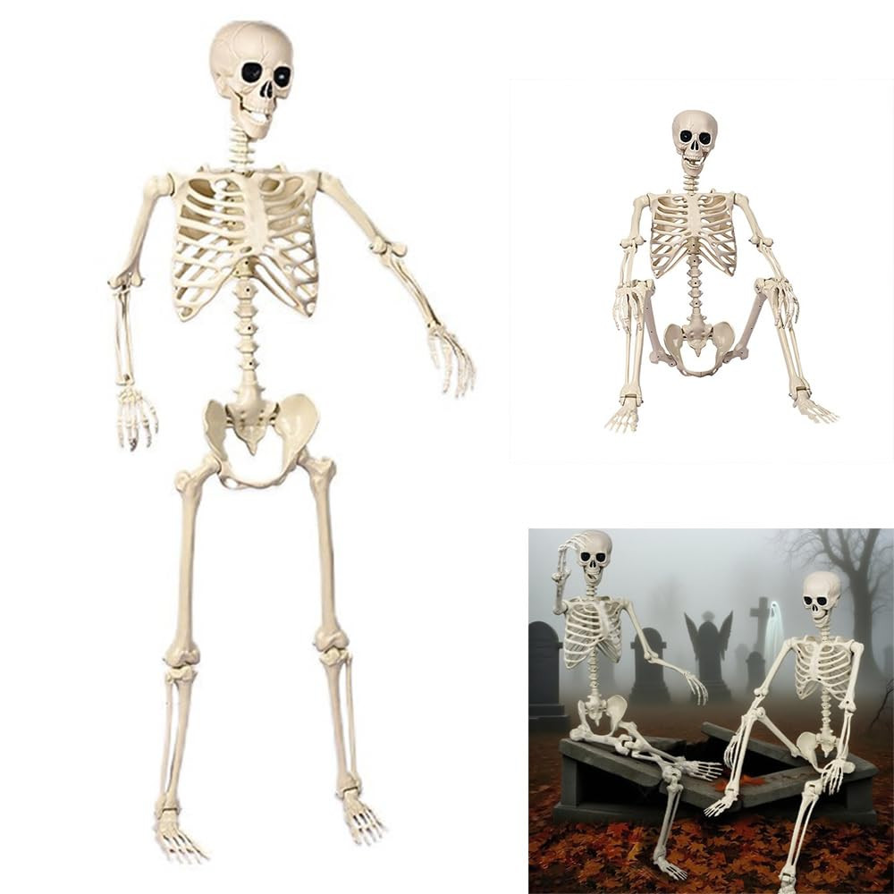 Zikynn Halloween Posable Skeleton - 5.4ft/165cm, Life-Size Human Skeleton with Full Body Articula... | Amazon (UK)