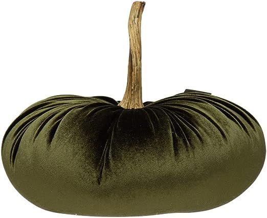Creative Co-Op Decorative Velvet Pumpkin with Resin Stem, Green | Amazon (US)